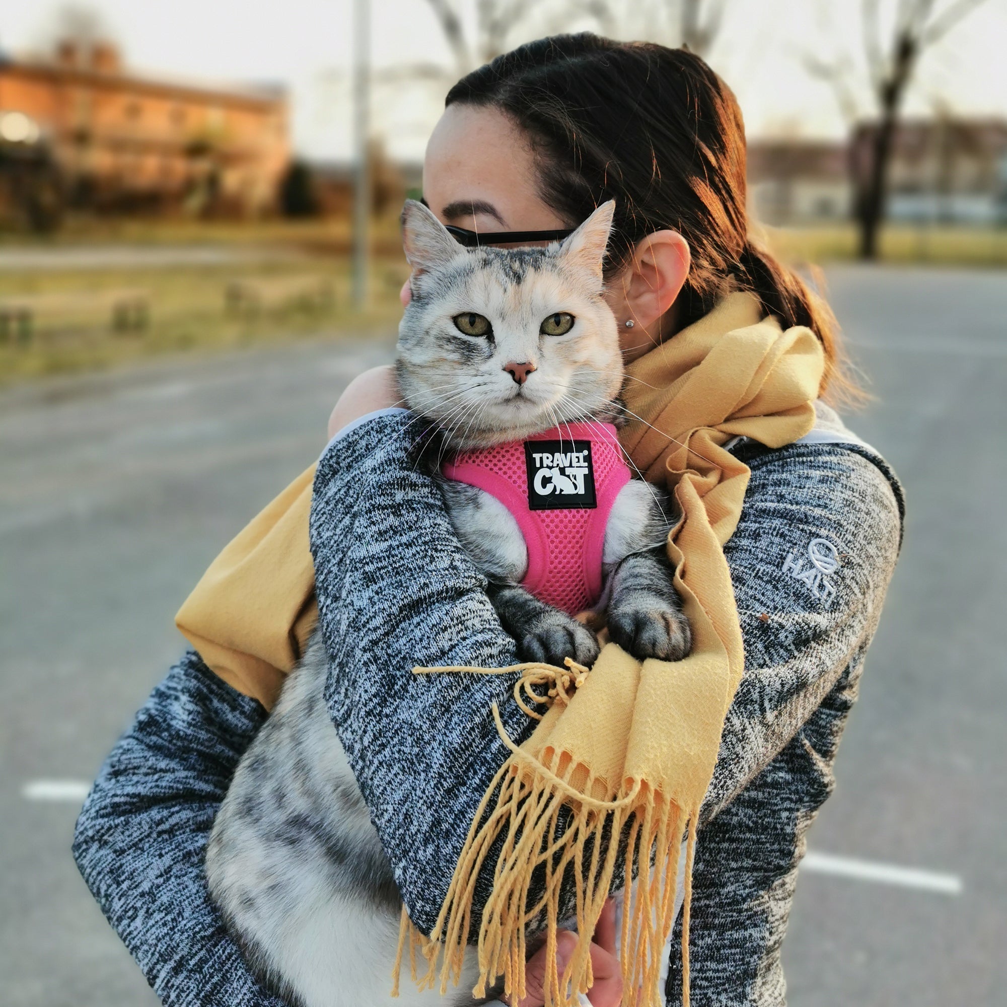 How to Bond With Your Cat