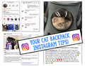 6 Important Instagram Tips for Pet Stores that Will Drive Business and Foot-Traffic