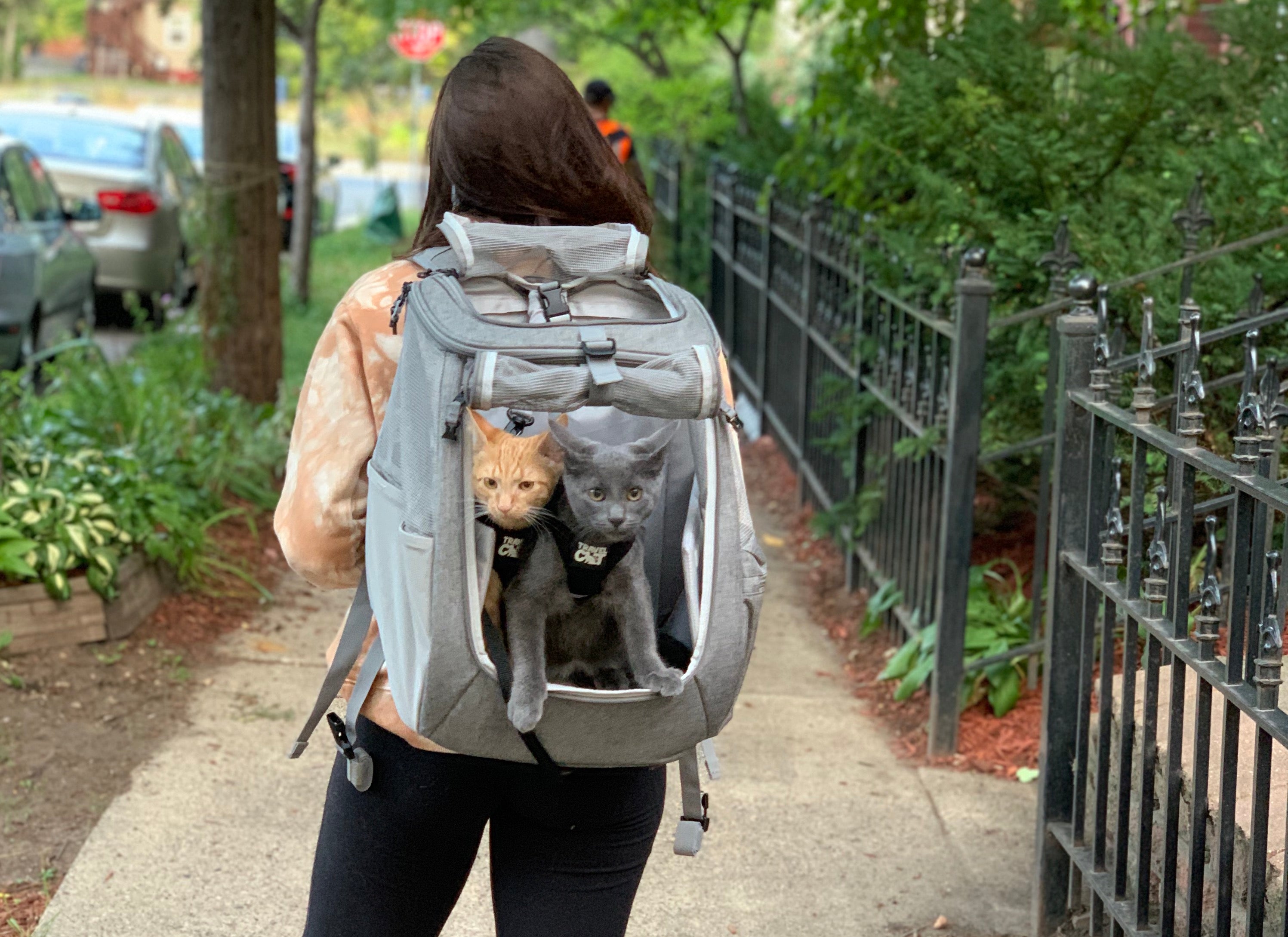 Travel Cat VIP: Cat Backpack & Harness Adventures with Marlo & Hazel