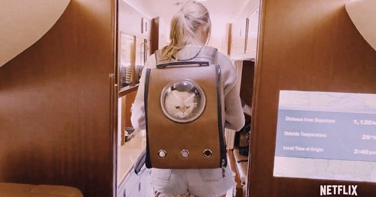 Taylor Swift Shows Off Her Cat Backpack in Miss Americana Netflix Documentary Trailer