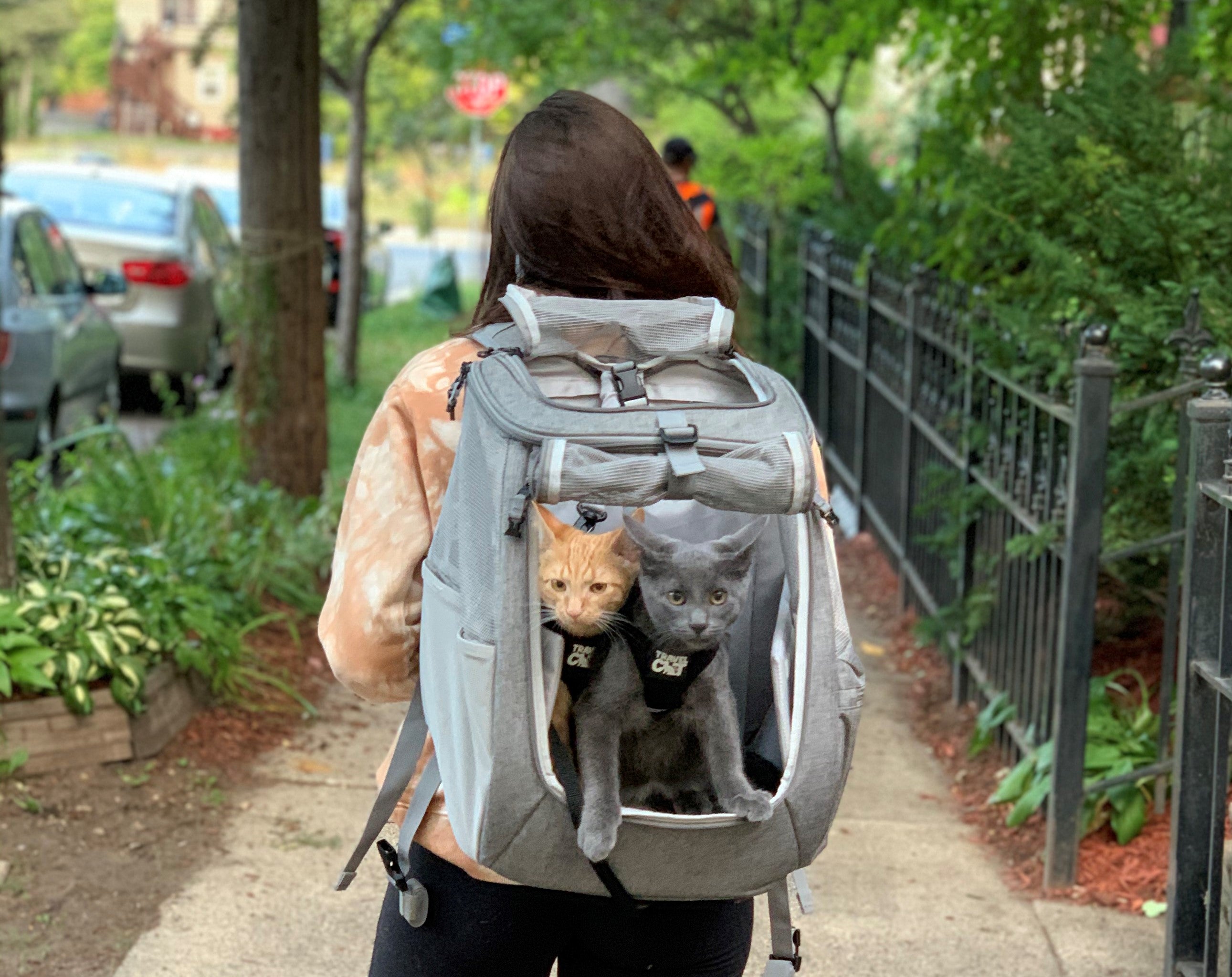 Cat Backpack that Fits 2 Cats (or lots of kittens): The Fat Cat by Your Cat Backpack