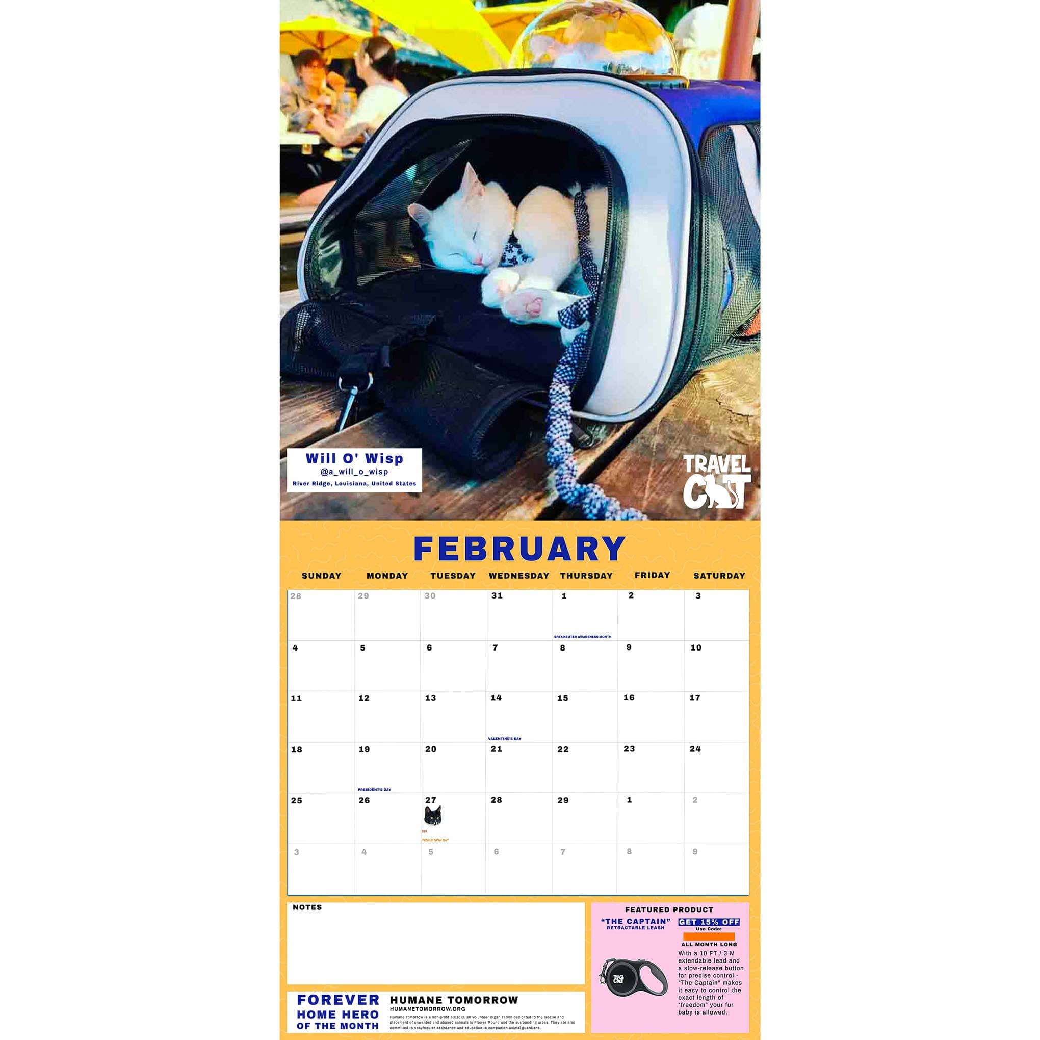 Travel Cat Calendar Supporting Forever Home Heroes 2024