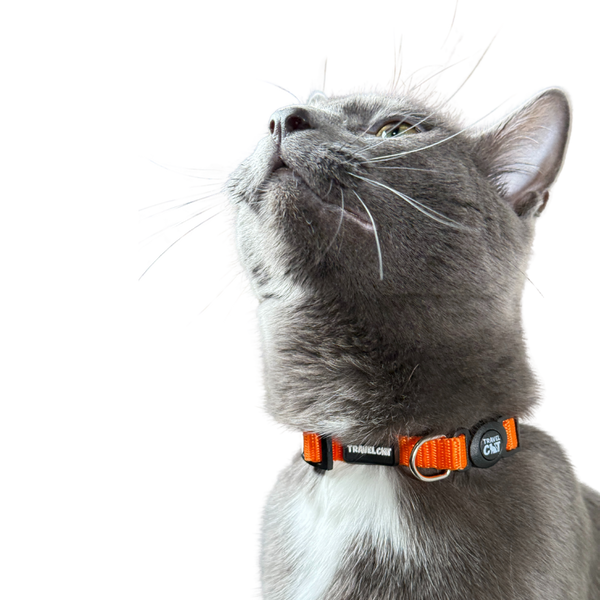 “The Travel Cat” Breakaway Cat Collar - Orange
