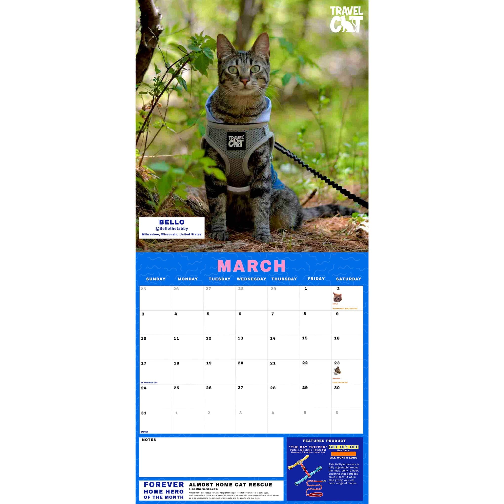 Travel Cat Calendar Supporting Forever Home Heroes 2024