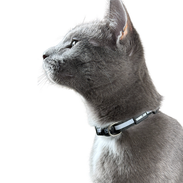 “The Travel Cat” Breakaway Cat Collar - Black Reflective