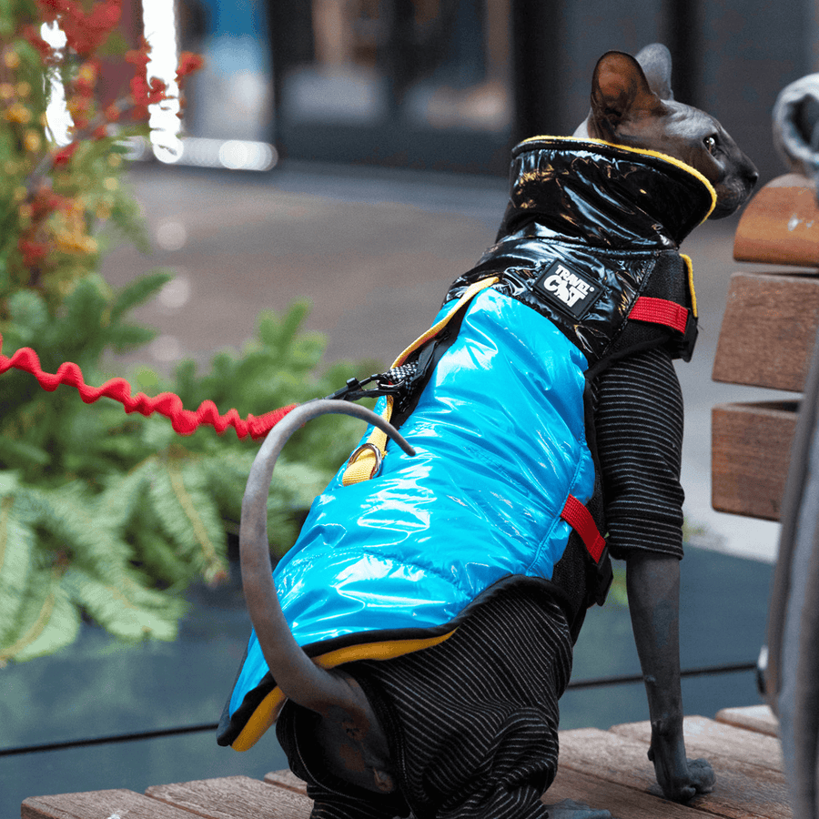 ALL Harness & Harness Bundles