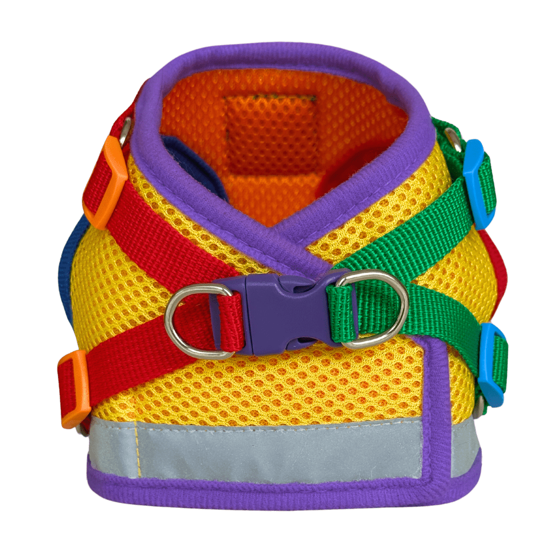 "The True Adventurer" Reflective Cat & Kitten Harness and Leash