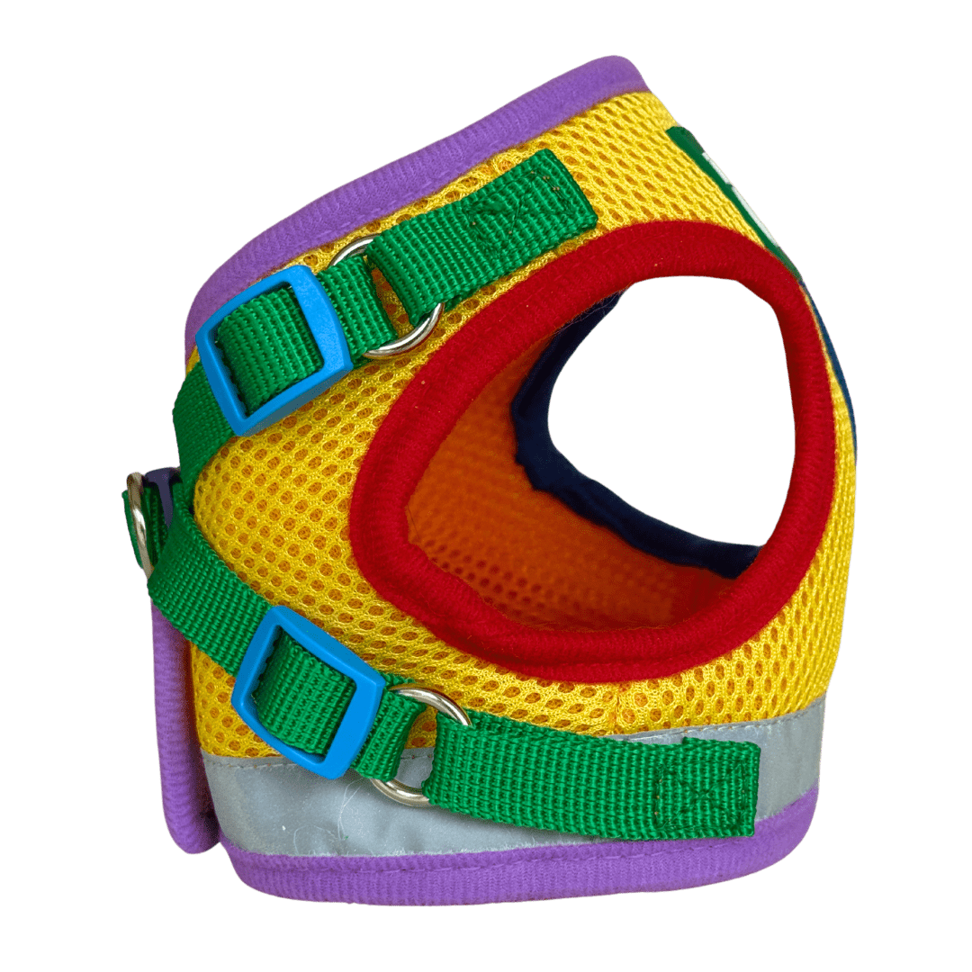 "The True Adventurer" Reflective Cat & Kitten Harness and Leash