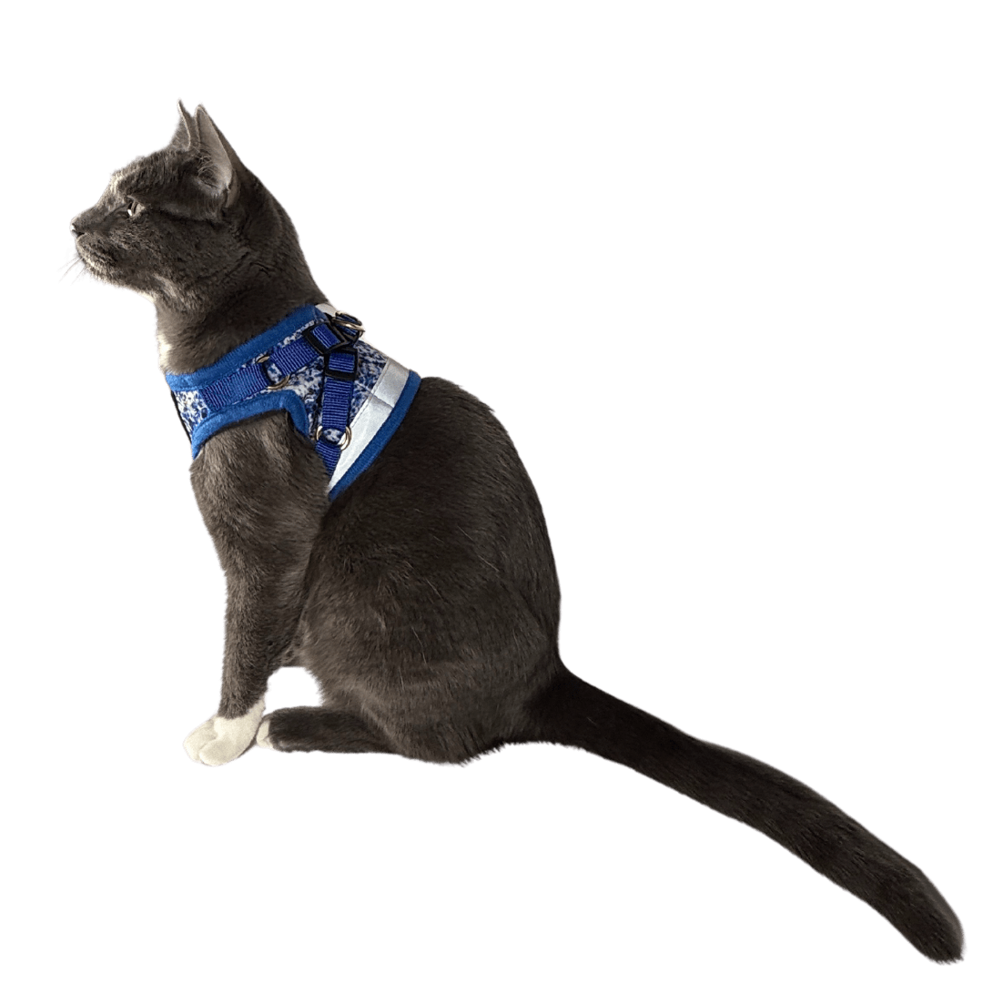 "The True Adventurer" Reflective Cat & Kitten Harness and Leash