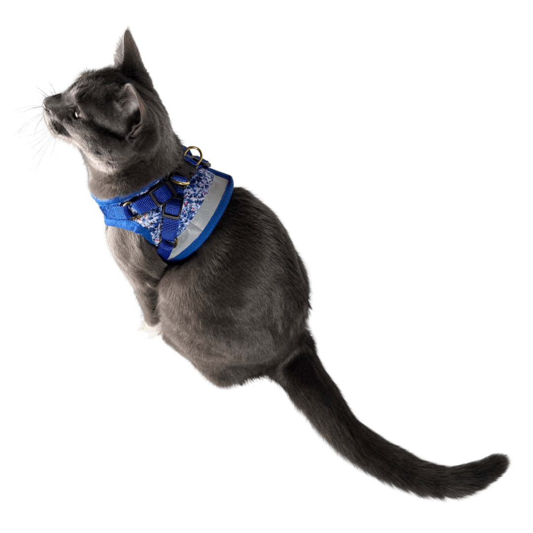 "The True Adventurer" Reflective Cat & Kitten Harness and Leash