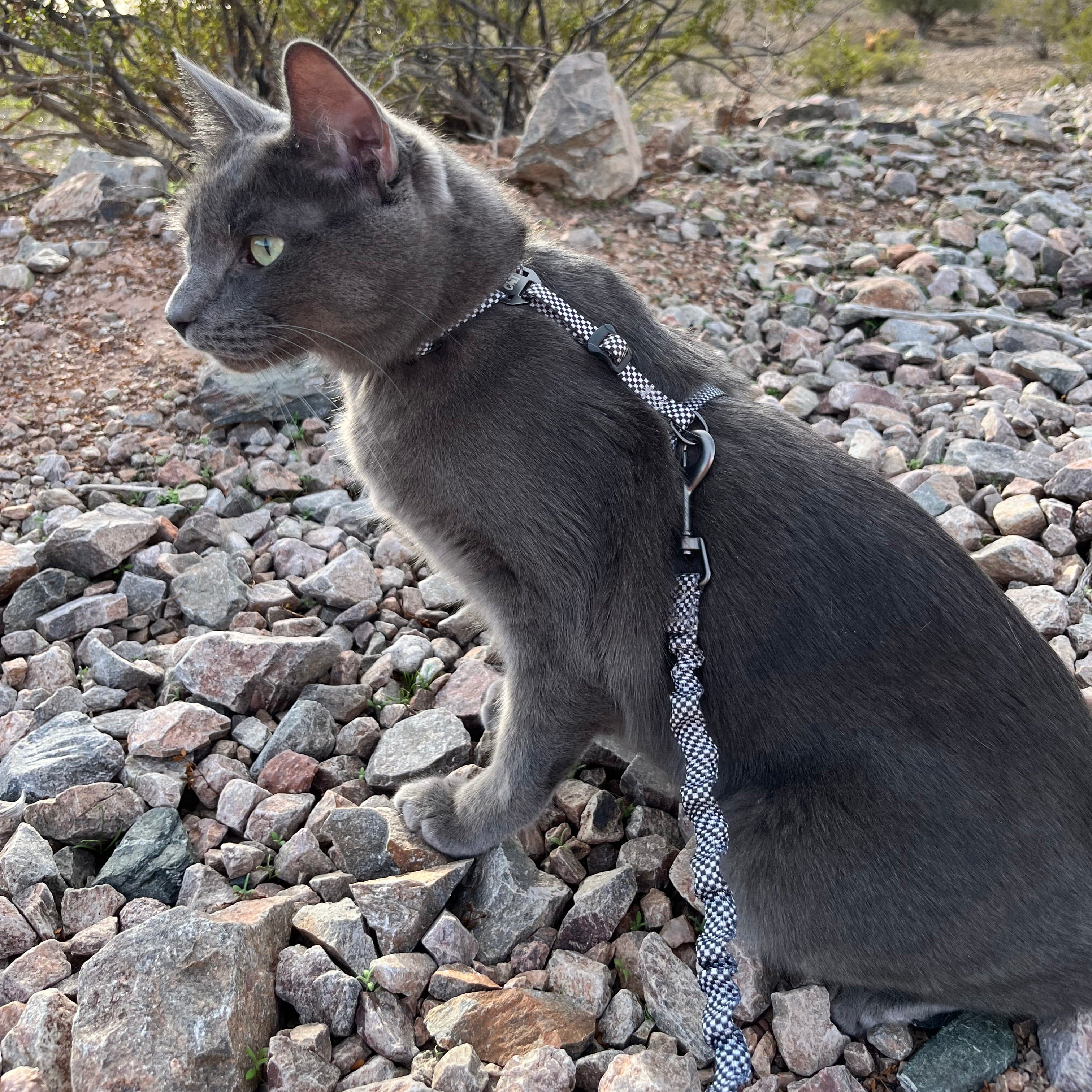 "The Day Tripper" Perfect Adjustable H-Style Cat Harness & Bungee Leash Set - Checkered