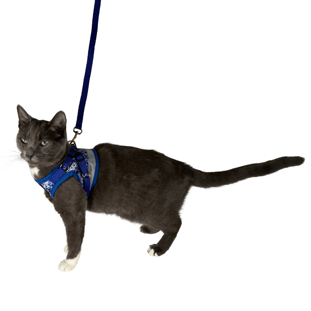 "The True Adventurer" Reflective Cat & Kitten Harness and Leash