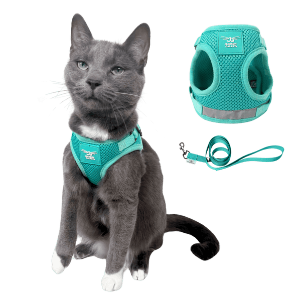 The Jackson Galaxy x Travel Cat Harness & Leash Set