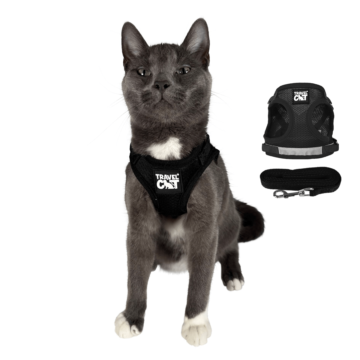 "The True Adventurer" Reflective Cat & Kitten Harness and Leash