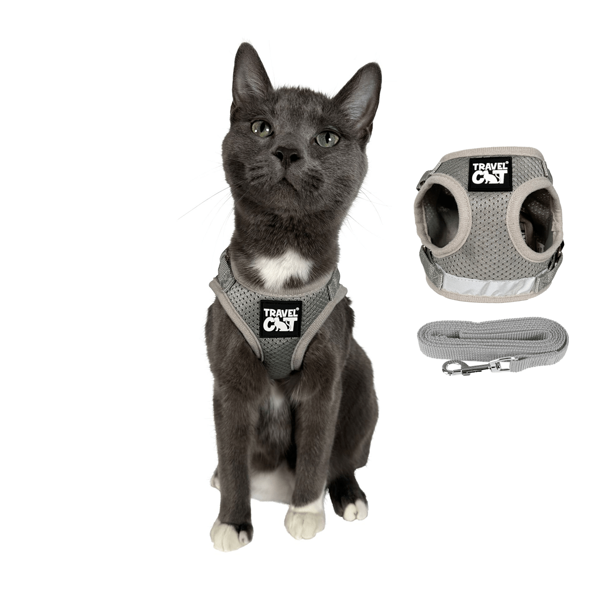 "The True Adventurer" Reflective Cat & Kitten Harness and Leash