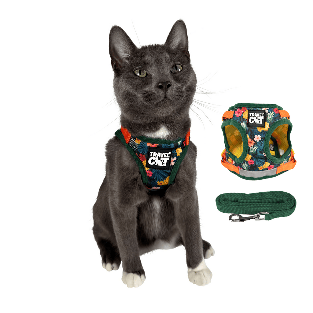 Hawaii 2024 cat shirt bundle for bmblbr