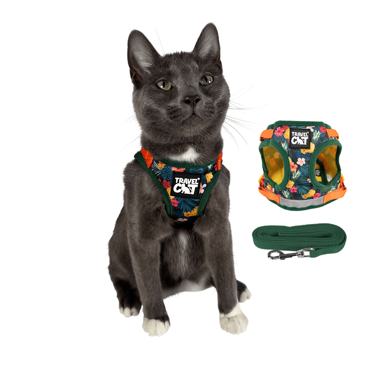 The True Adventurer Reflective Cat Kitten Harness and Leash The Bad to The Bone S Your Cat Backpack