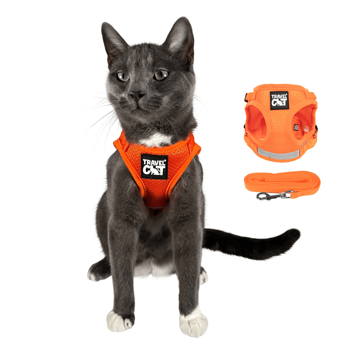 Halloween Pawty Harness Bundle - Harness & Leash Sets