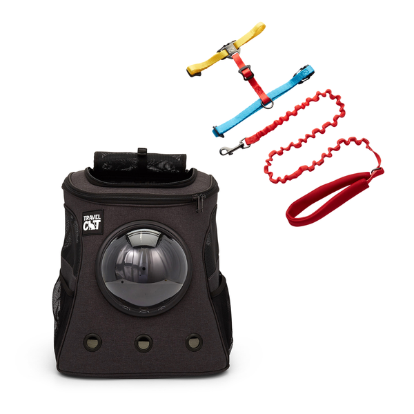 Fat Cat & Day Tripper Bundle - Color Block