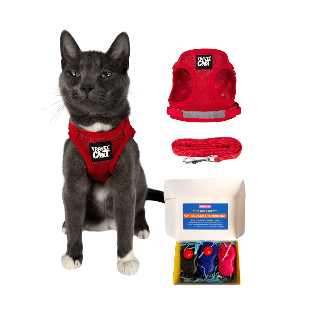 "The True Adventurer" Harness and Leash Set & Cat Clicker Set Bundle