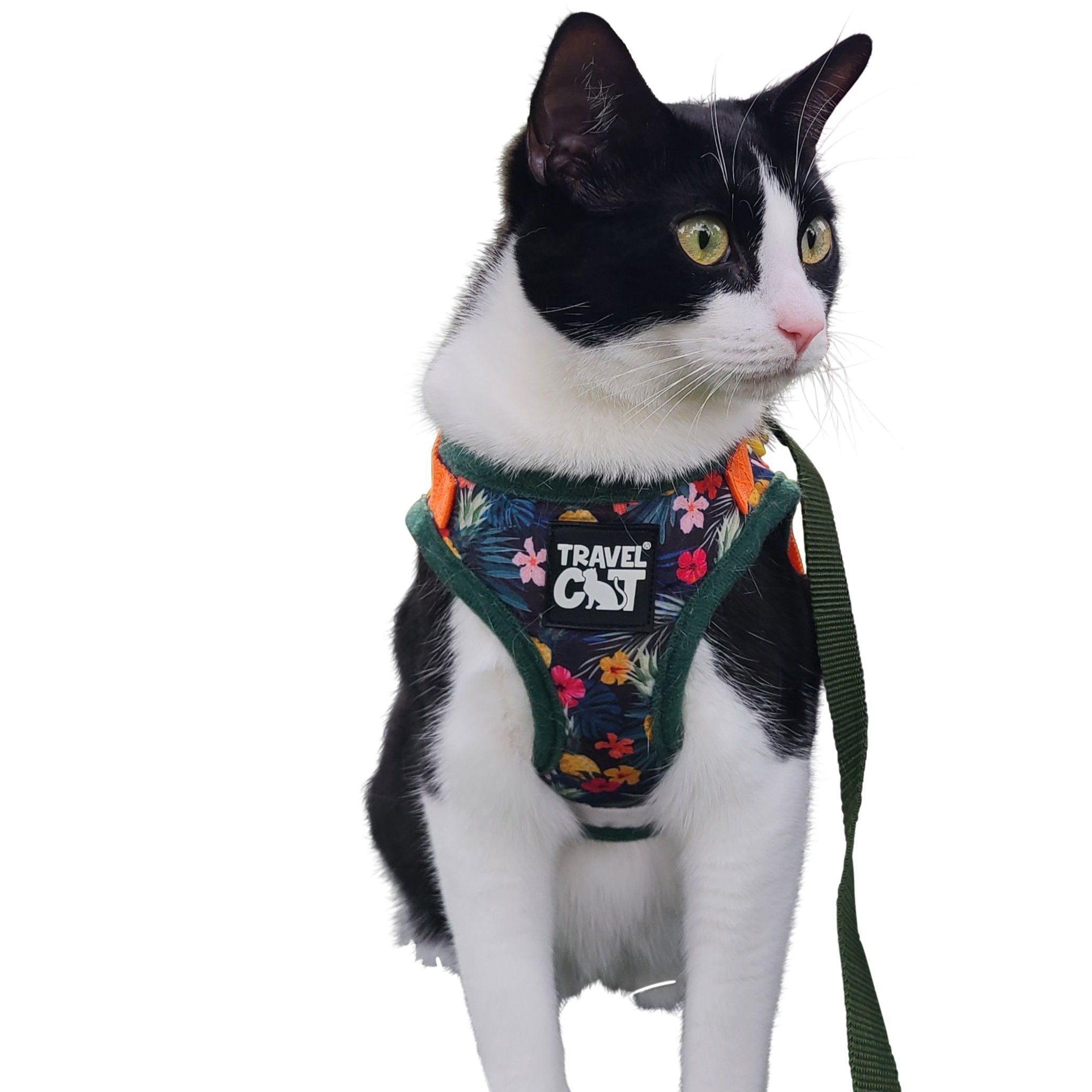 "The Hawaiian Shirt" Limited-Edition Cat Harness & Leash Set