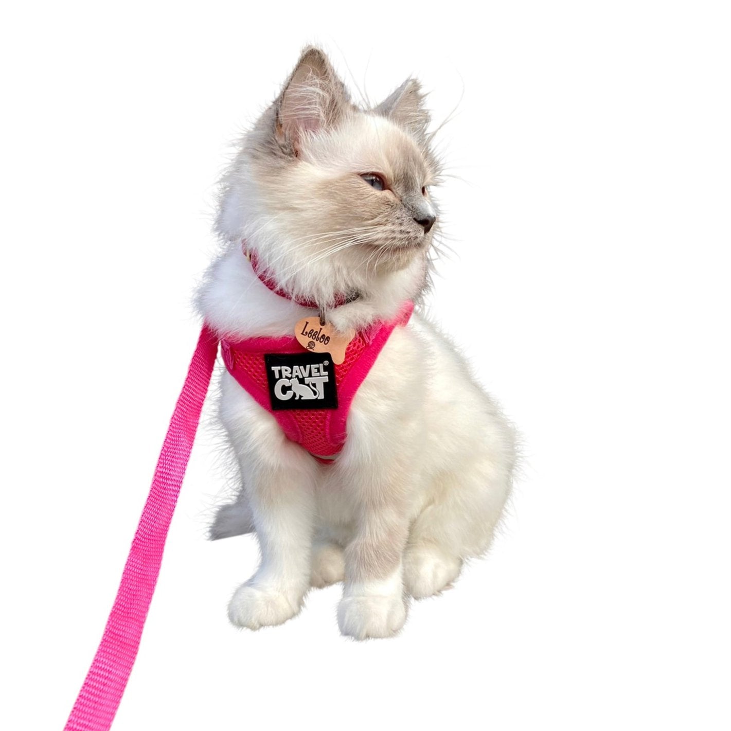 "The Purrfectly Pink" Iridescent Limited-Edition Harness & Leash Set