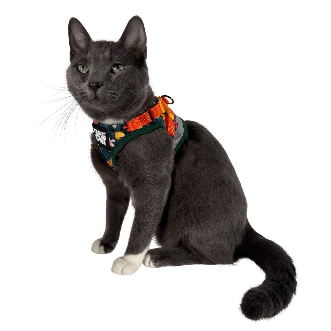 "The Hawaiian Shirt" Limited-Edition Cat Harness & Leash Set