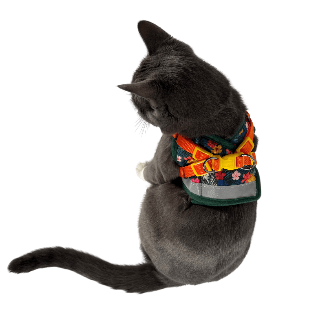 "The Hawaiian Shirt" Limited-Edition Cat Harness & Leash Set