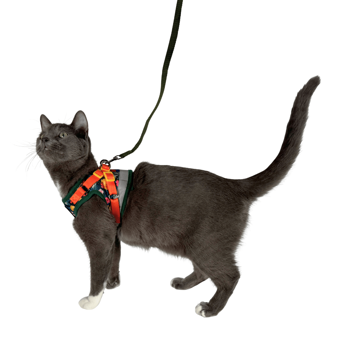 "The Hawaiian Shirt" Limited-Edition Cat Harness & Leash Set