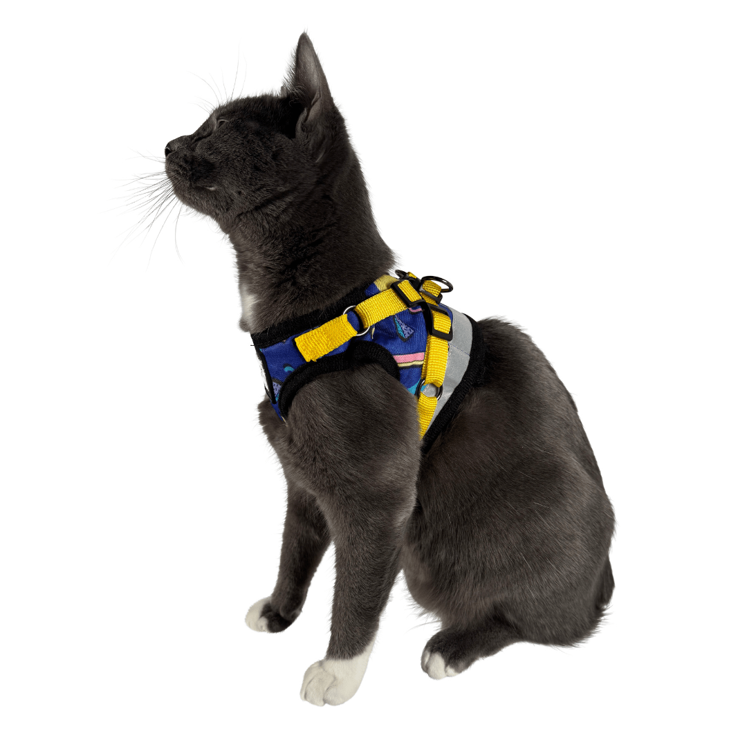 "The '90s Cat" Limited-Edition Harness & Leash Set