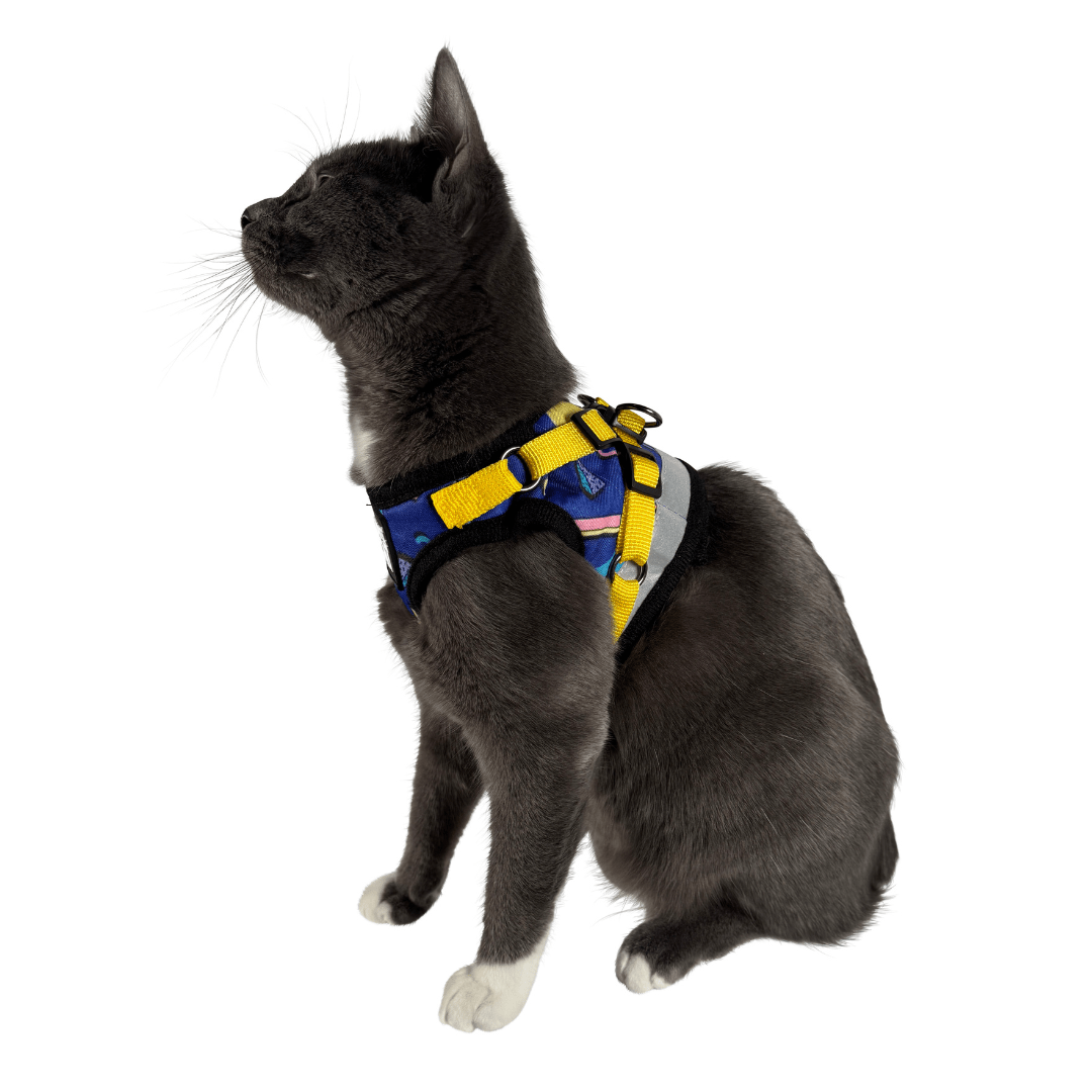#Color_The 90s Cat