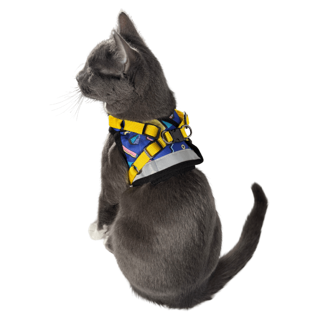 "The '90s Cat" Limited-Edition Harness & Leash Set