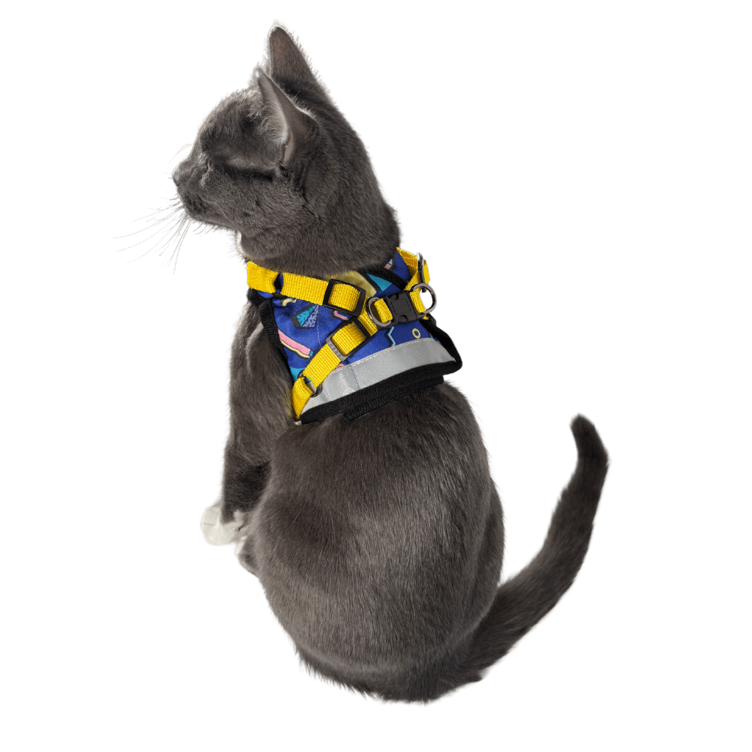 #Color_The 90s Cat