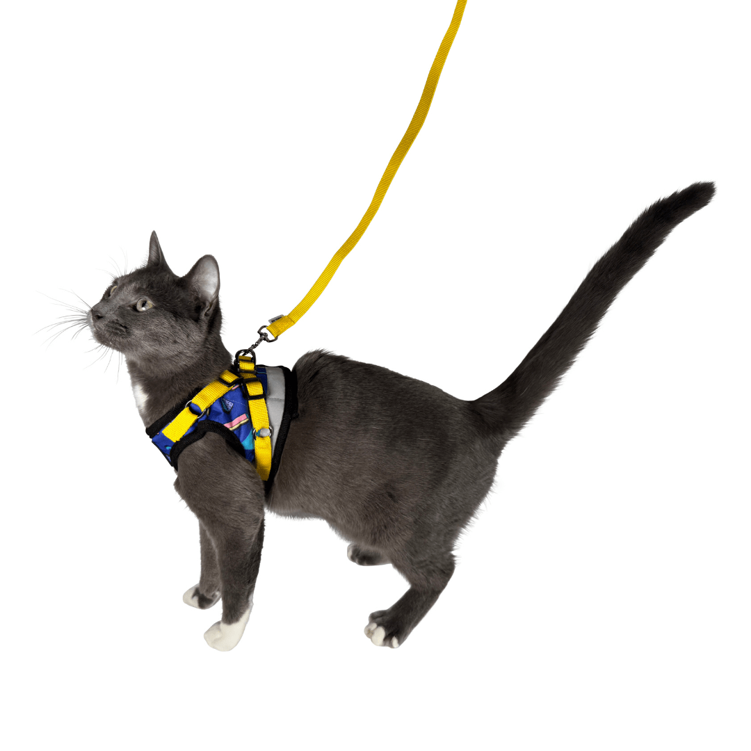 "The '90s Cat" Limited-Edition Harness & Leash Set