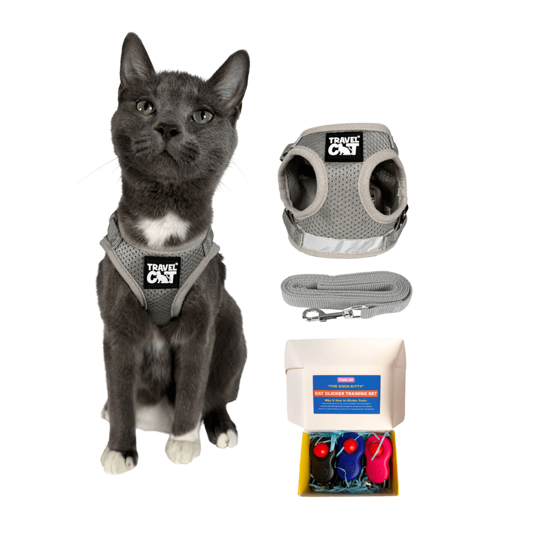 "The True Adventurer" Harness and Leash Set & Cat Clicker Set Bundle