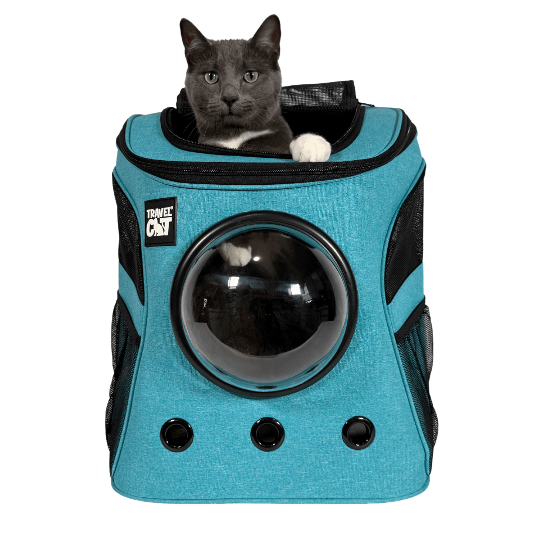 “The Fat Cat” Cat Backpack in Aqua - For Larger Cats