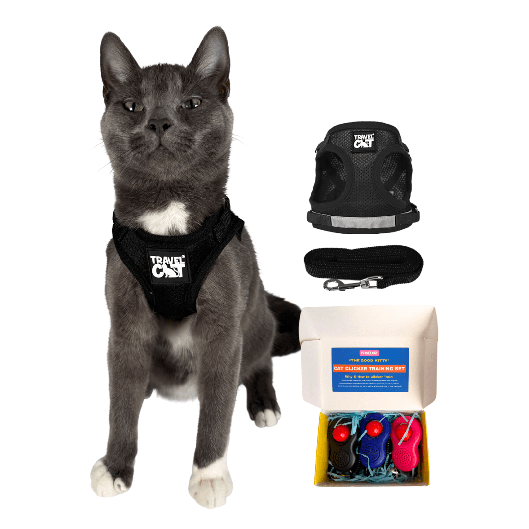 "The True Adventurer" Harness and Leash Set & Cat Clicker Set Bundle