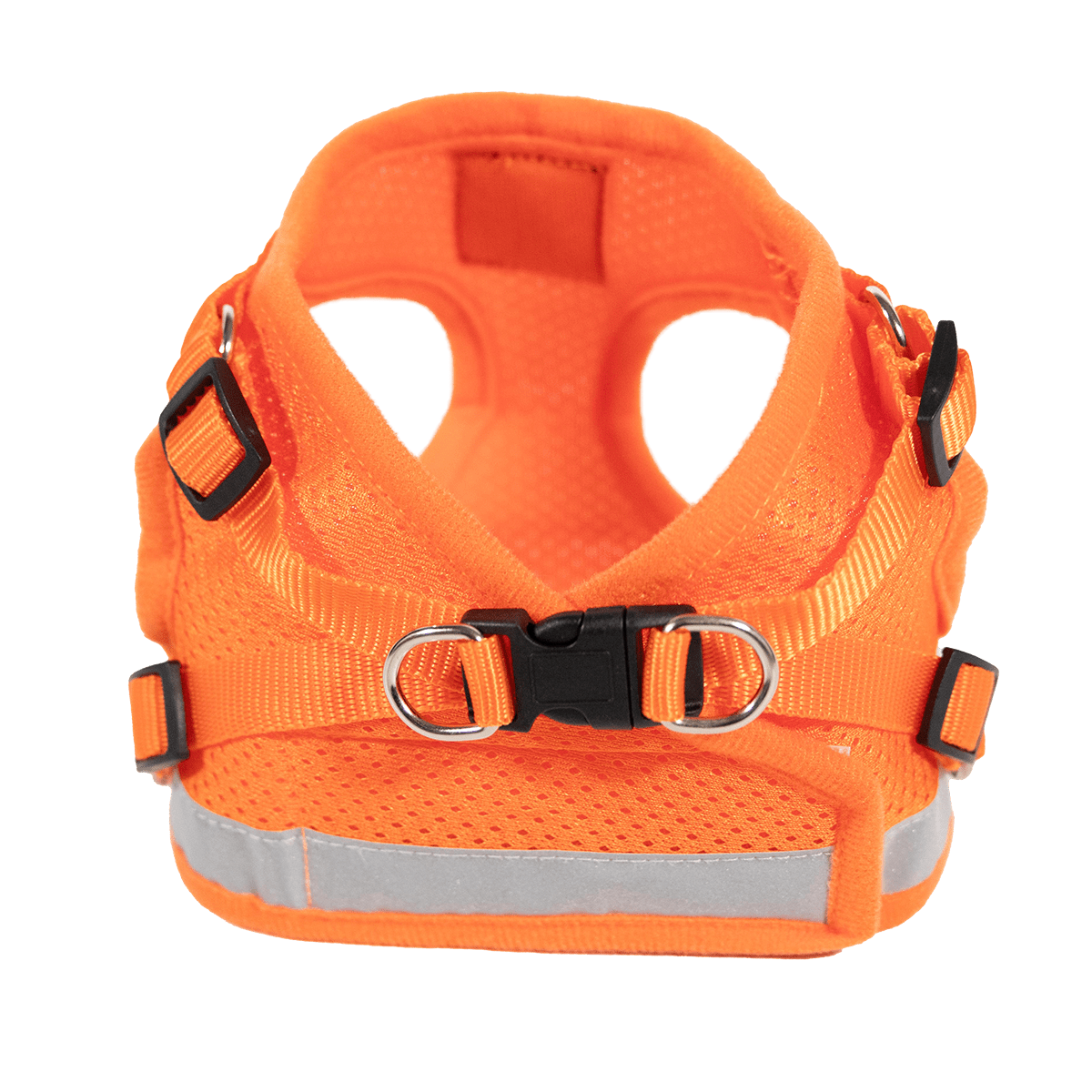 The Orange True Adventurer" Reflective Cat & Kitten Harness and Leash