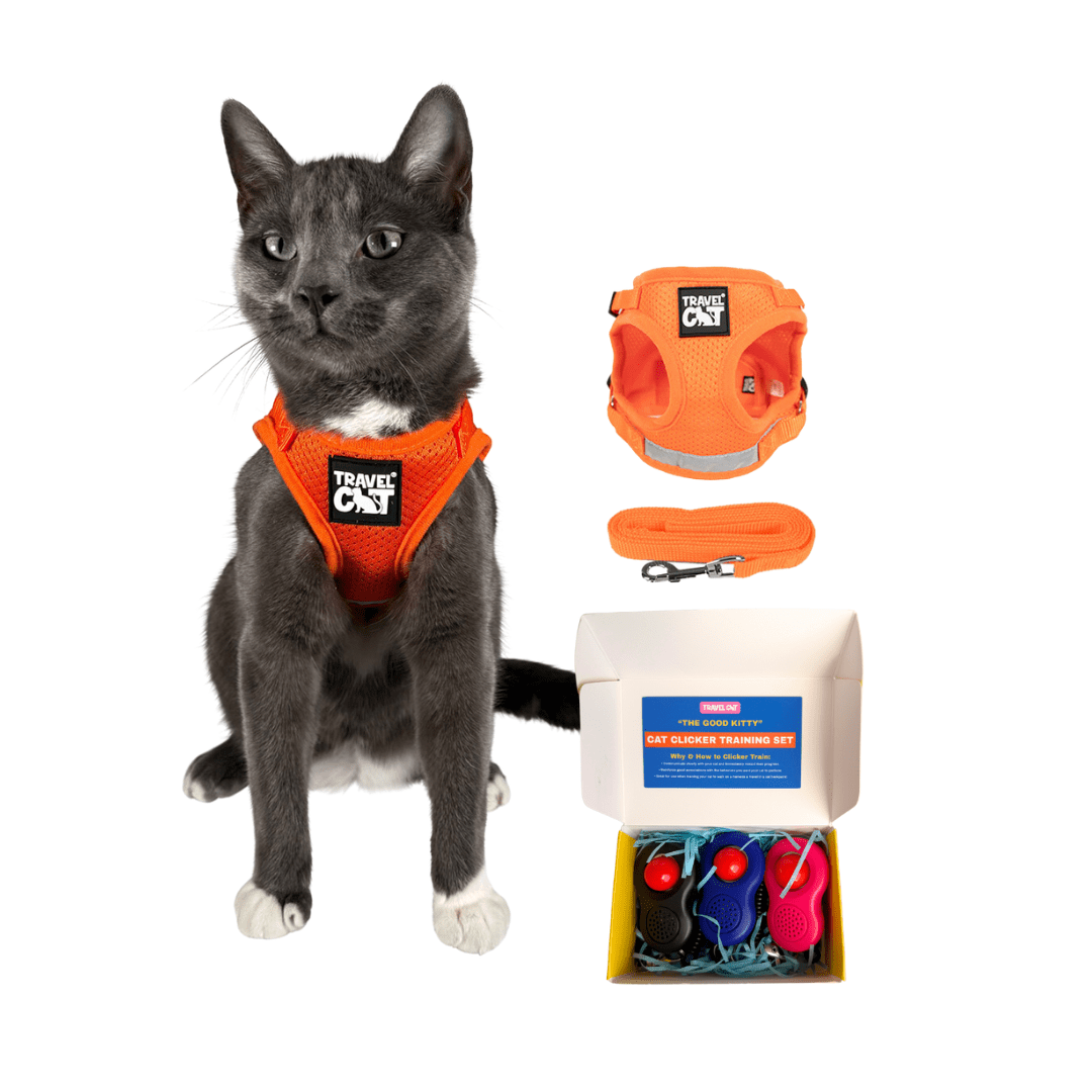 "The True Adventurer" Harness and Leash Set & Cat Clicker Set Bundle