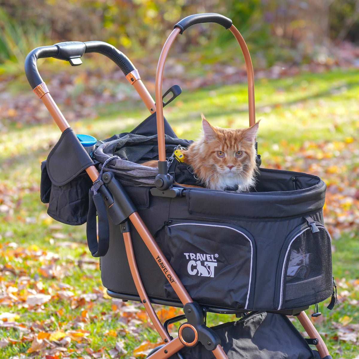 Travel Cat | Your Cat Backpack - The #1 Cat Travel Brand in the World