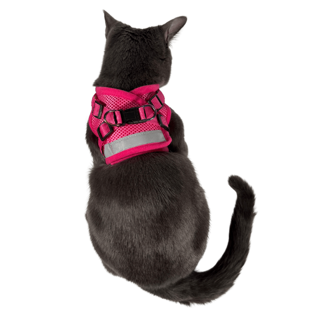 "The Purrfectly Pink" Iridescent Limited-Edition Harness & Leash Set