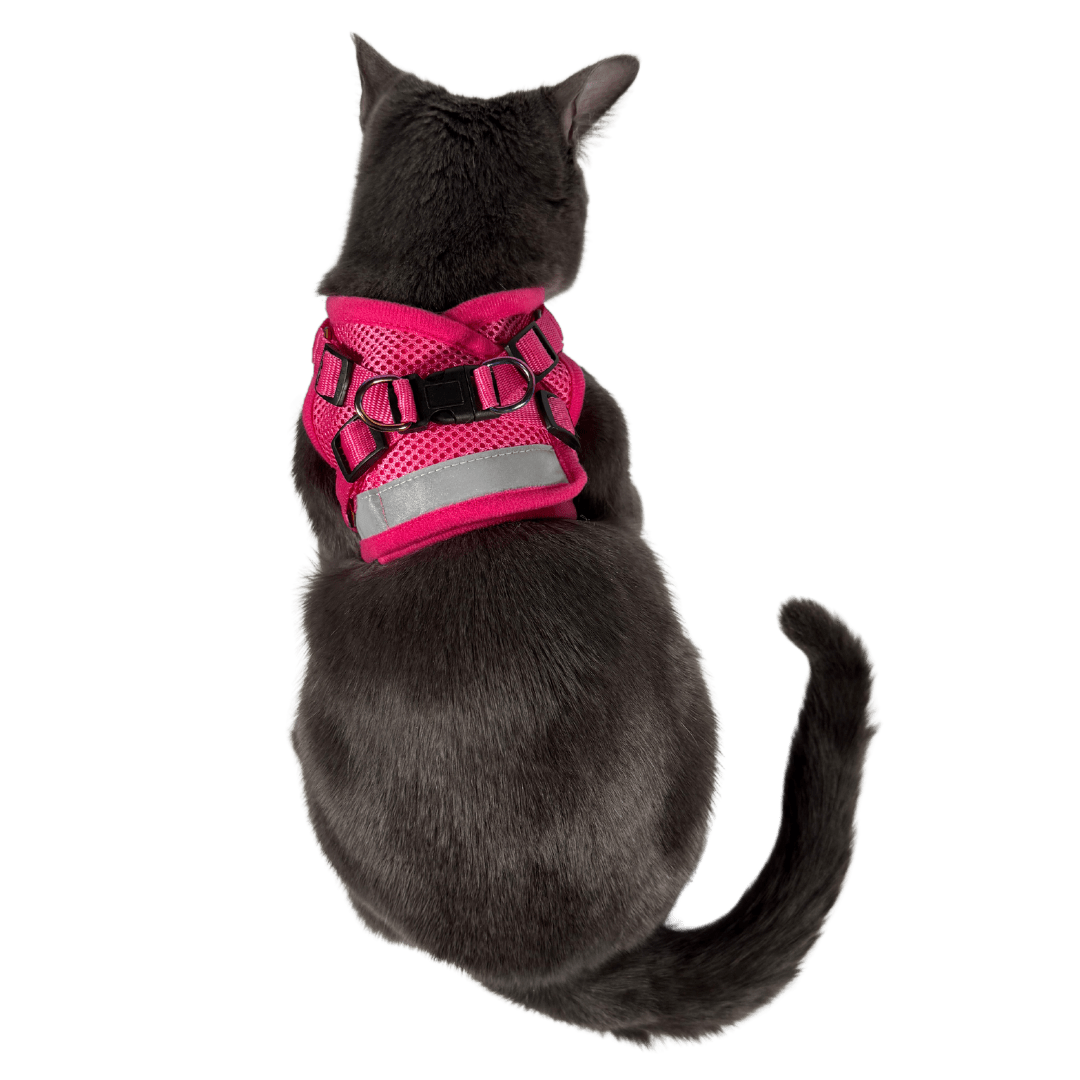 #Color_The Purrfectly Pink