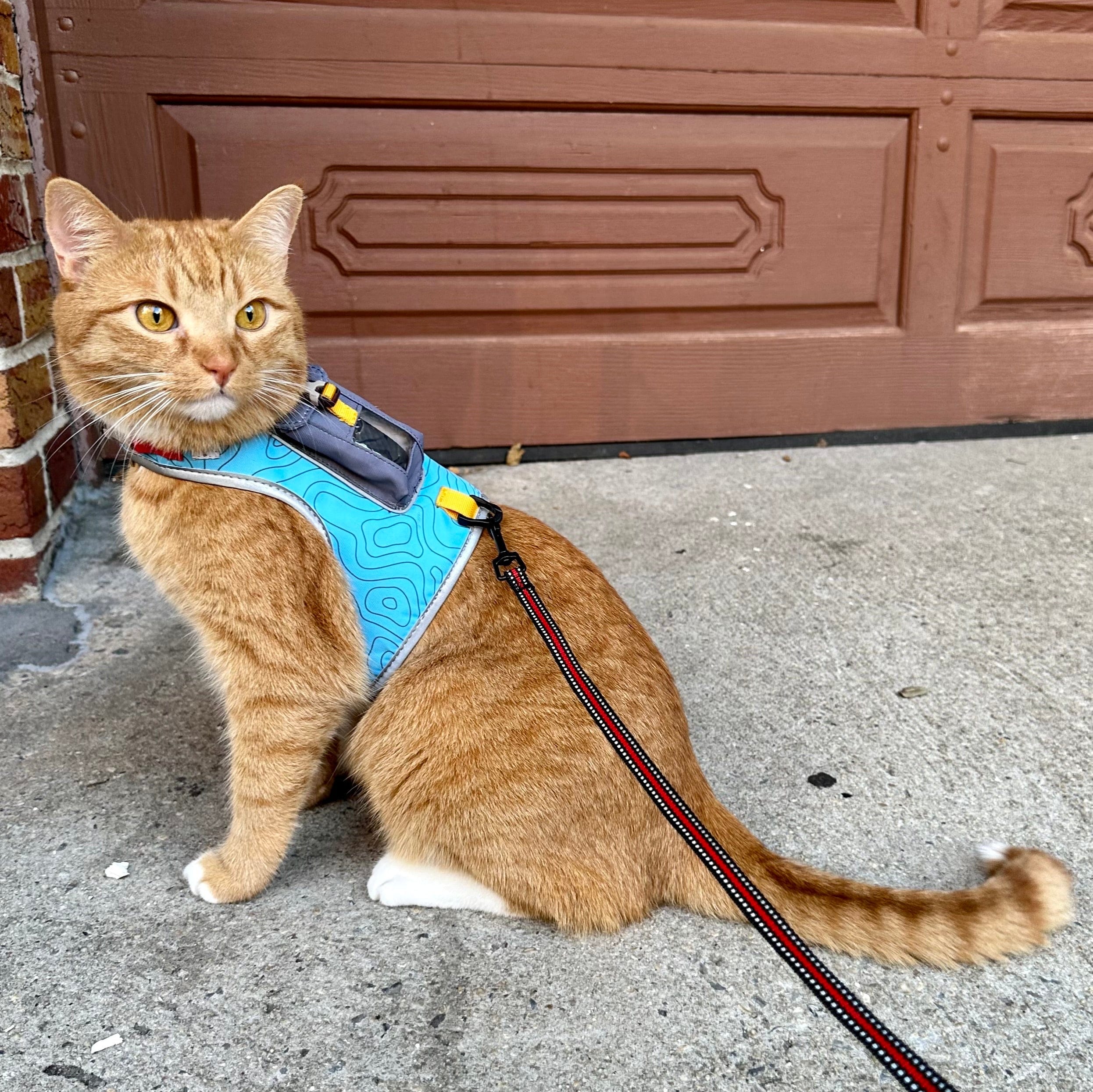 "The Pathfinder" Cat Harness with GPS Tracker Pocket - Powered by Tractive