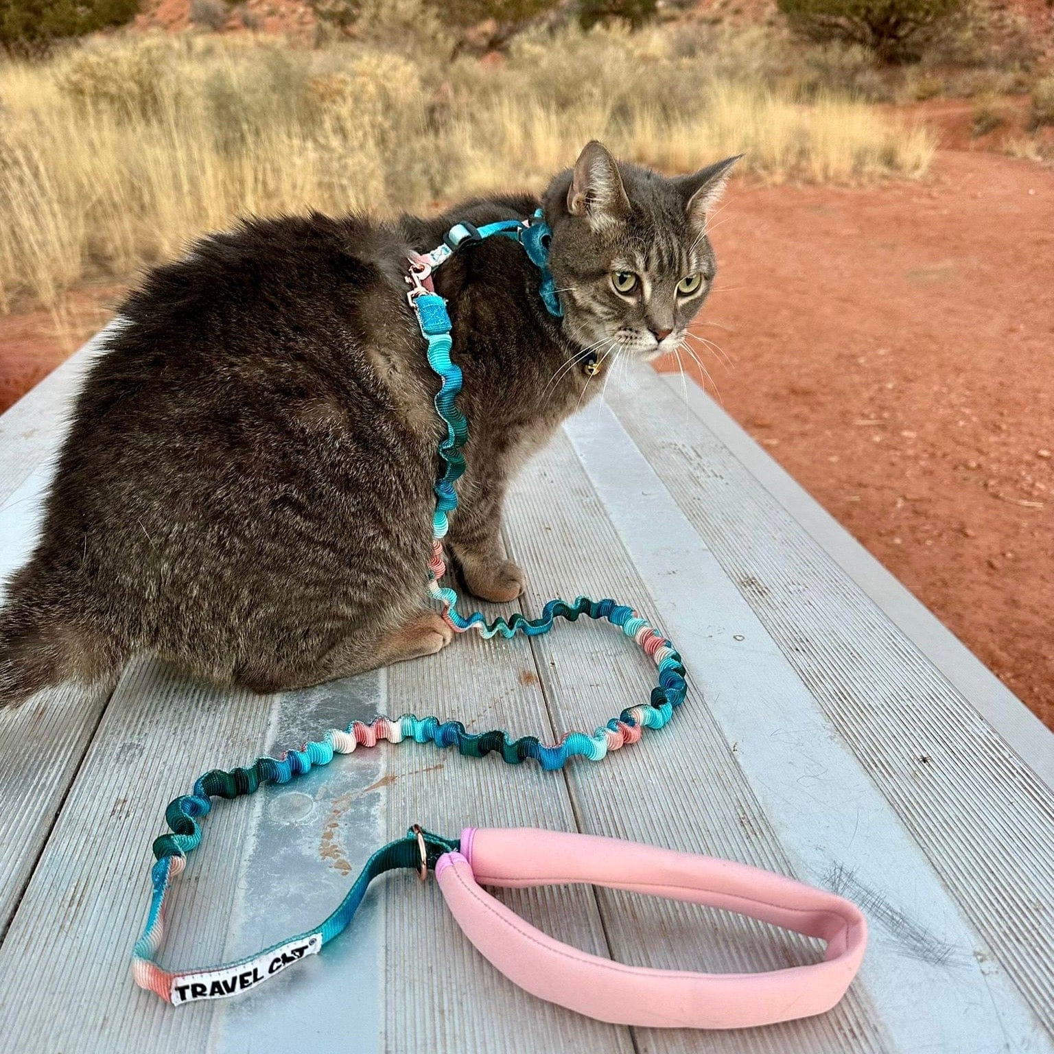 "The Day Tripper" Perfect Adjustable H-Style Cat Harness & Bungee Leash Set - Watercolor