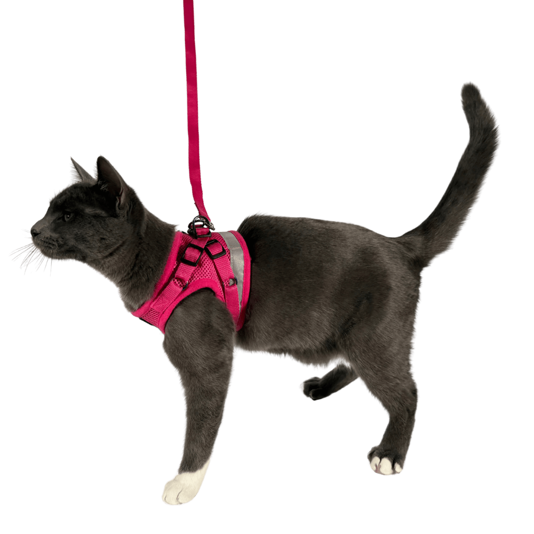 "The Purrfectly Pink" Iridescent Limited-Edition Harness & Leash Set