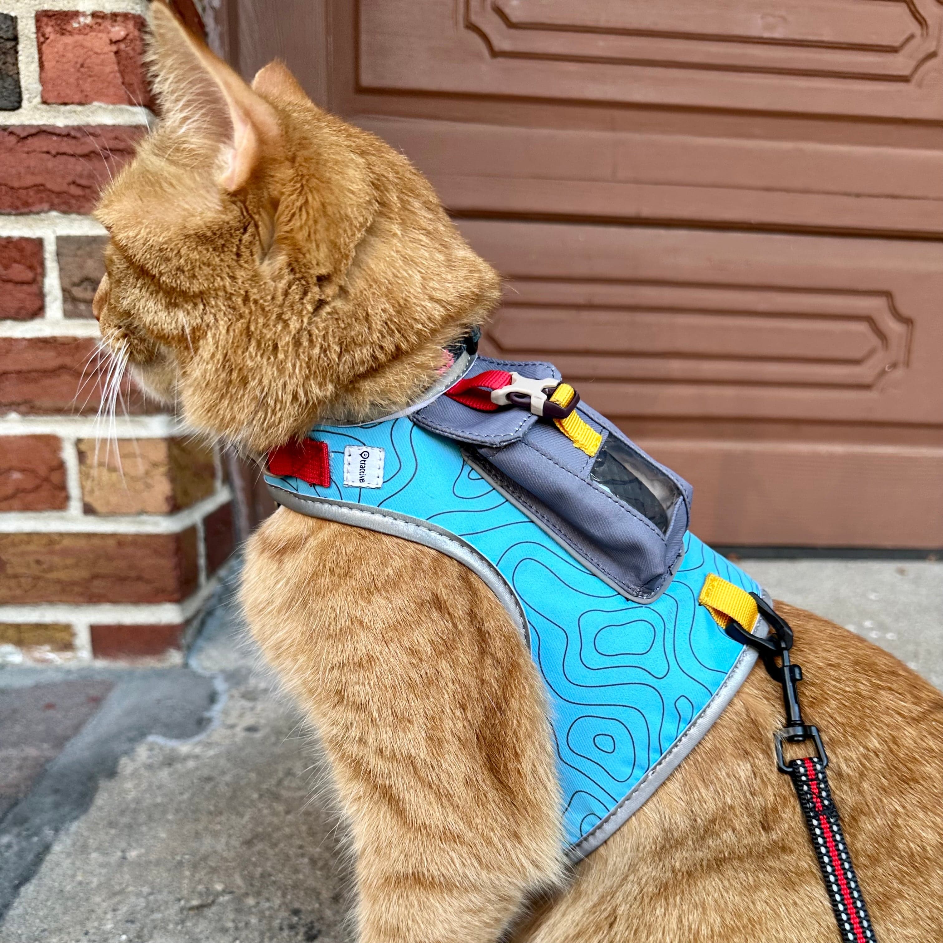 "The Pathfinder" Cat Harness & Tractive GPS Device Bundle