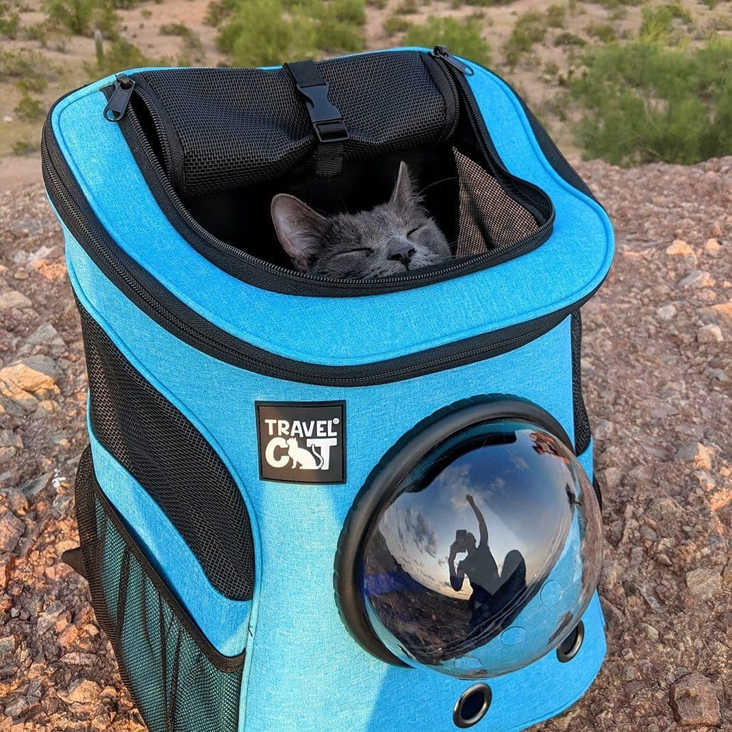 "The Fat Cat" Cat Backpack - For Larger Cats