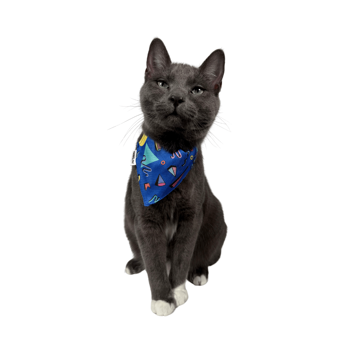 "The 90s Cat" Bandana & Collar