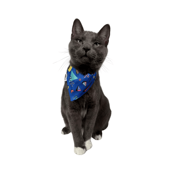 "The 90s Cat" Bandana & Collar