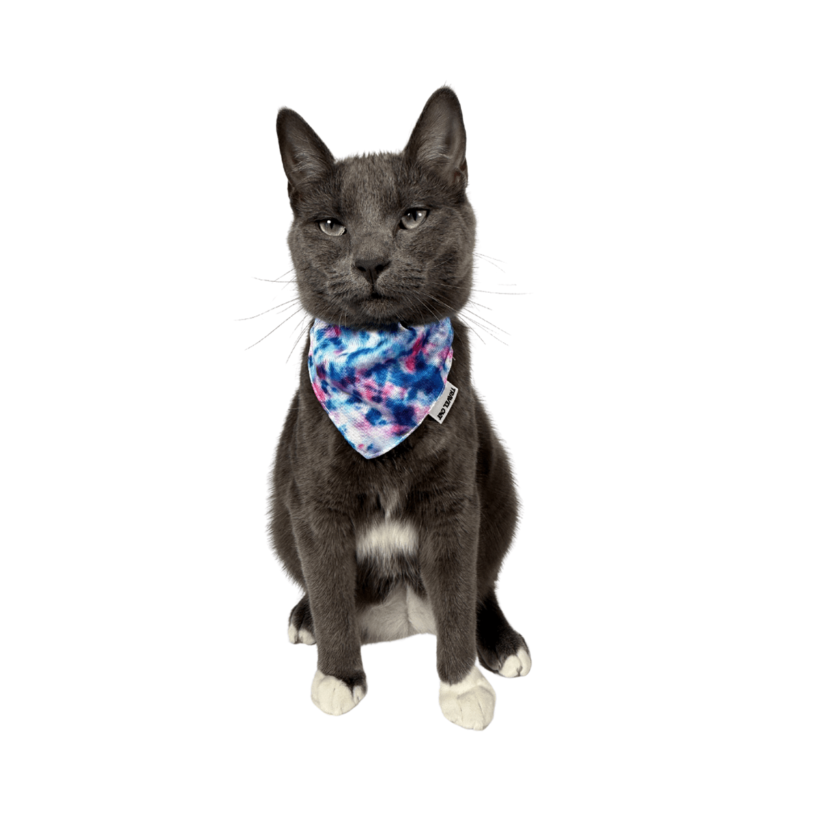 “The Groovy Cat” Bandana & Cat Collar